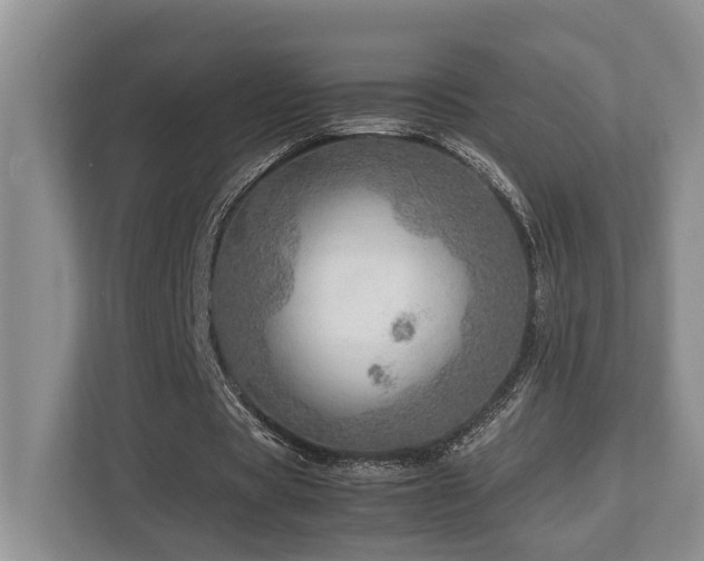 X0000112950529200908241344