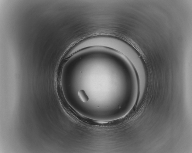 X0000112950530200908241344