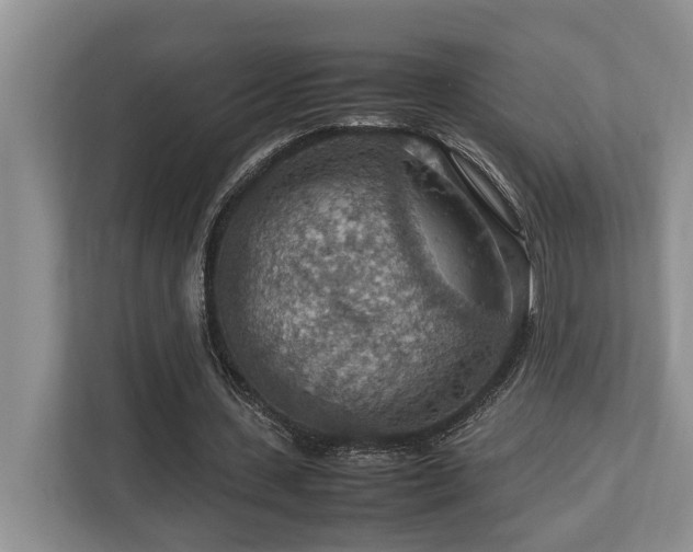 X0000112950531200908241344