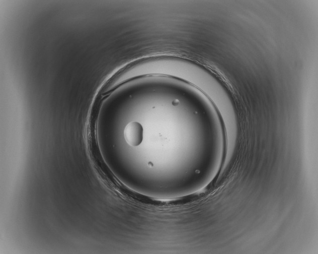 X0000112950532200908241344