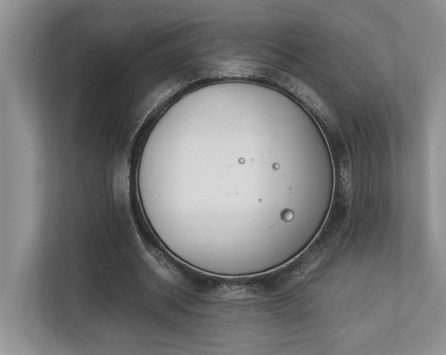 X0000112950534200908241344