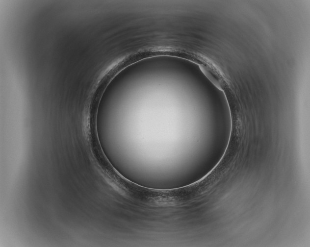 X0000112950535200908241344