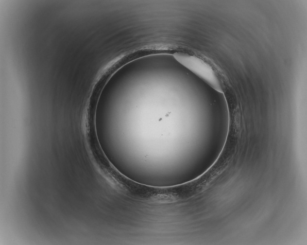 X0000112950536200908241344