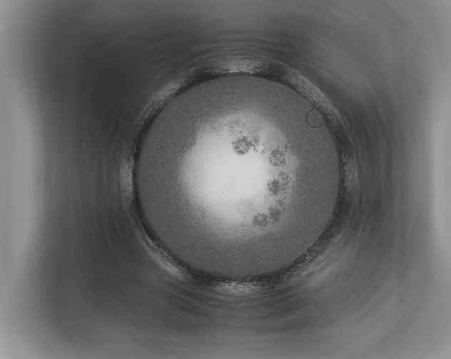 X0000112950537200908241344