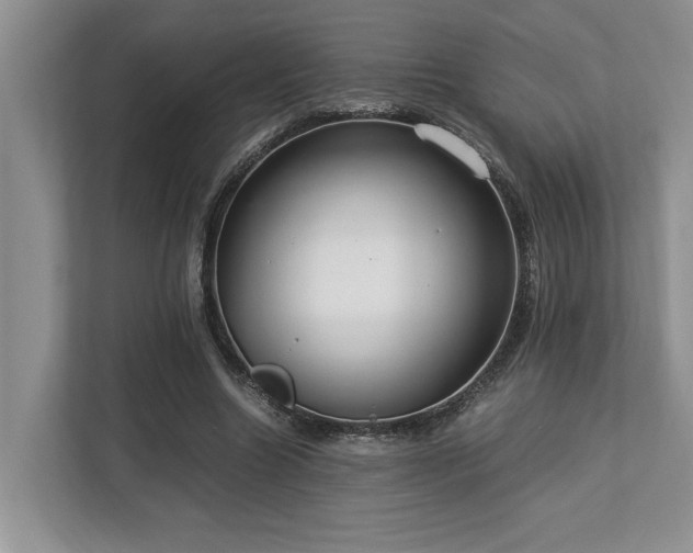 X0000112950538200908241344