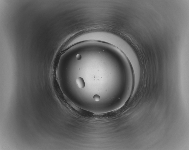 X0000112950540200908241345