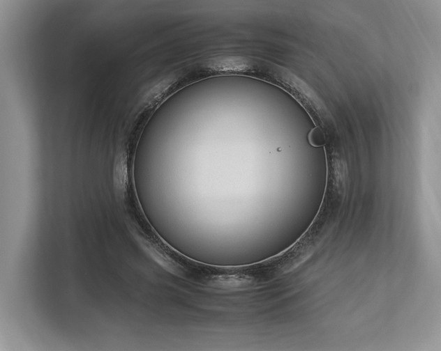 X0000112950541200908241345