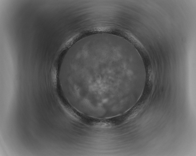 X0000112950542200908241345