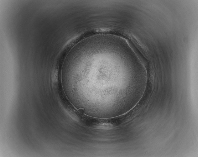 X0000112950543200908241345