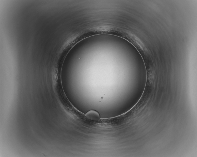 X0000112950544200908241345