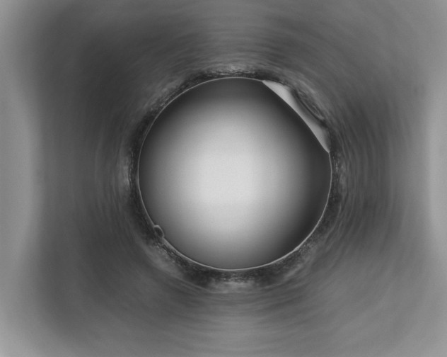 X0000112950546200908241345