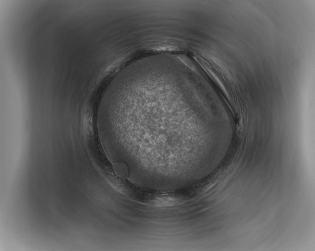 X0000112950547200908241345