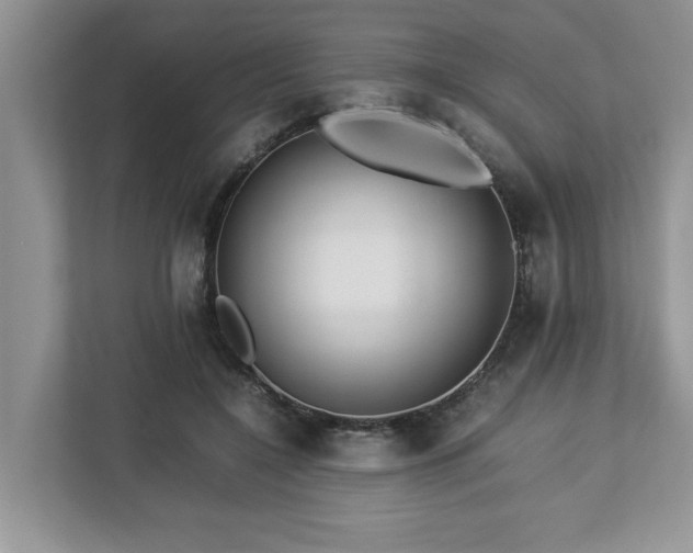 X0000112950548200908241345