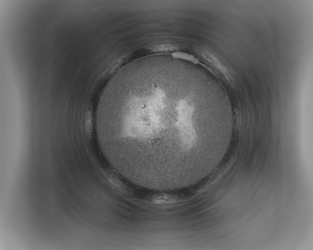 X0000112950549200908241345