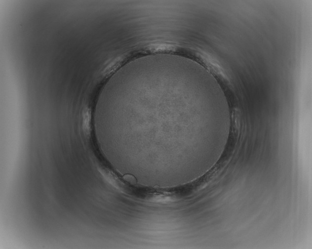 X0000112950550200908241345