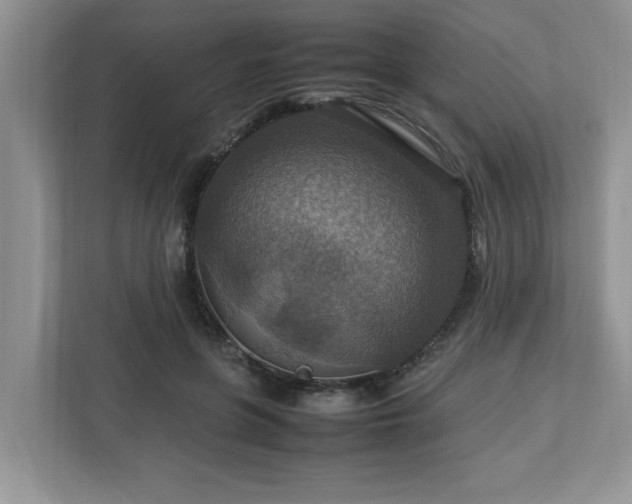 X0000112950551200908241345