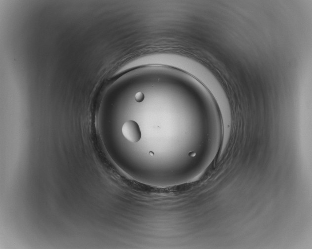 X0000112950552200908241345