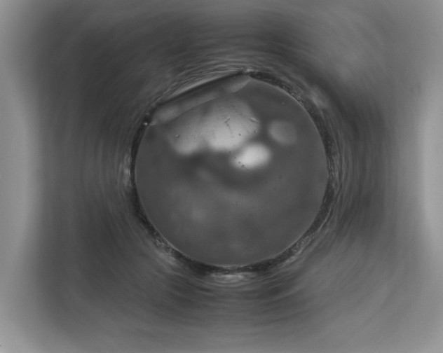 X0000112950553200908241345