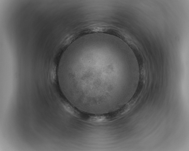 X0000112950554200908241345