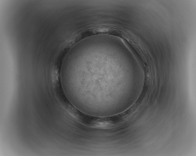 X0000112950555200908241345