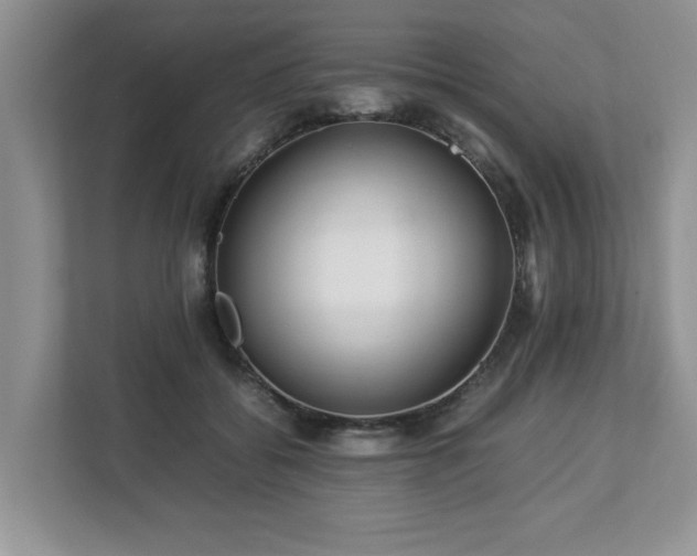 X0000112950556200908241345