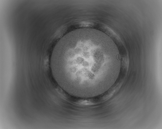 X0000112950557200908241345