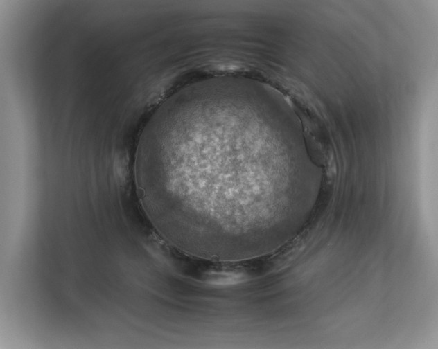 X0000112950559200908241345