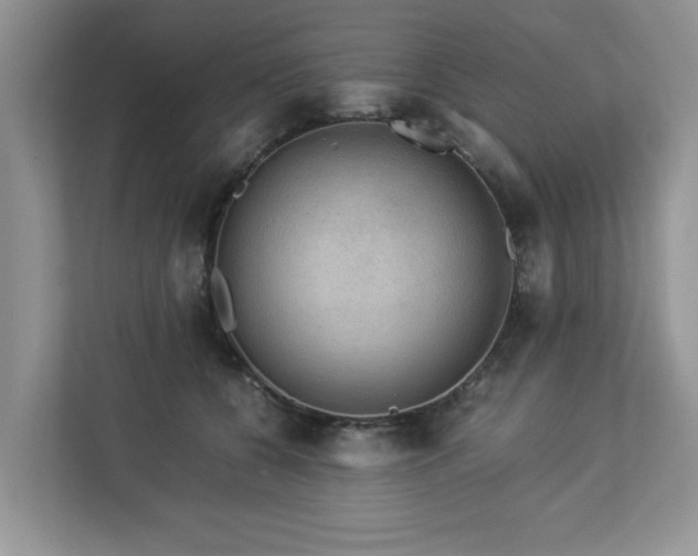 X0000112950560200908241345