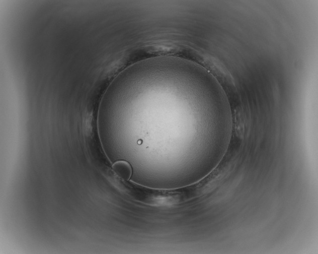 X0000112950563200908241345