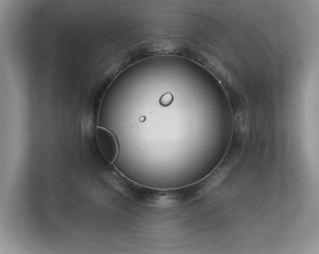 X0000112950564200908241345