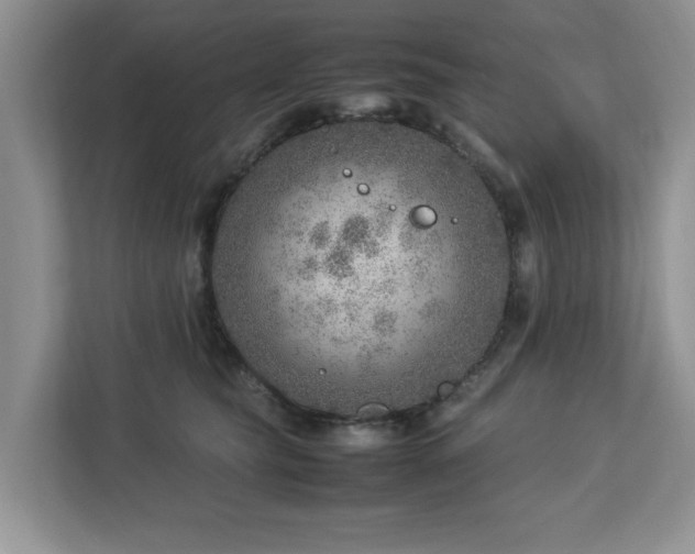 X0000112950565200908241345