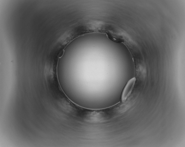 X0000112950566200908241345