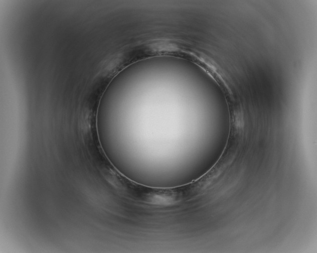 X0000112950567200908241345