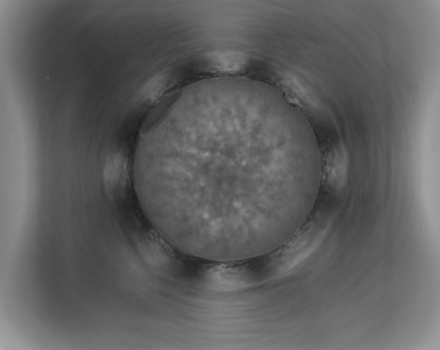 X0000112950568200908241345