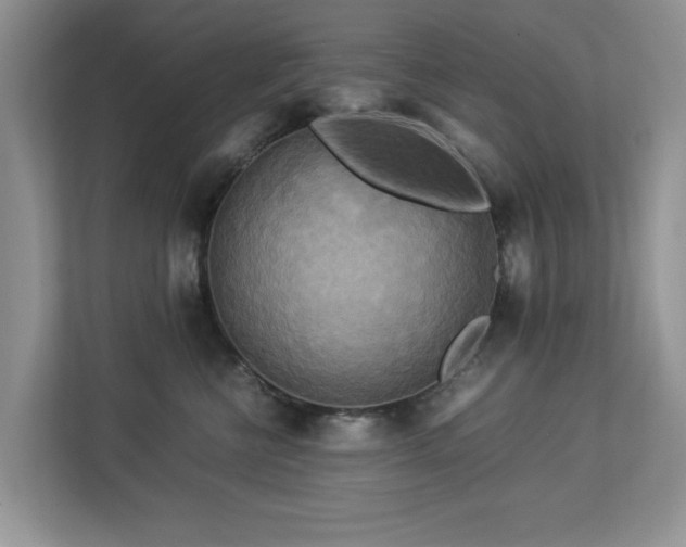 X0000112950570200908241345