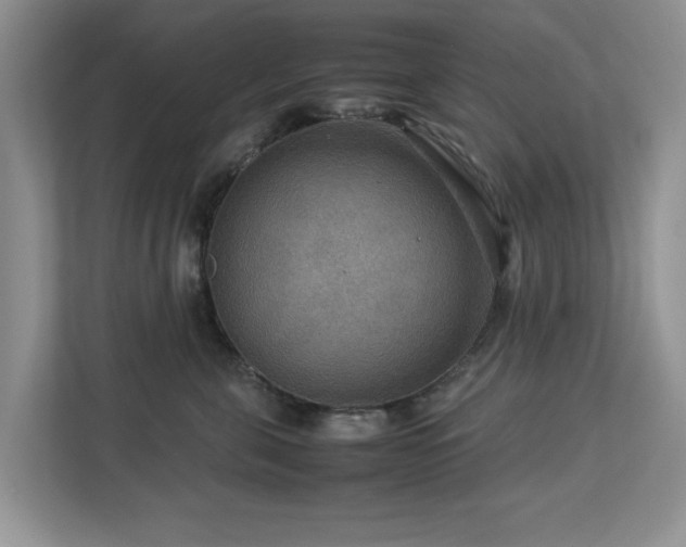 X0000112950571200908241345