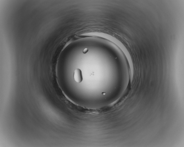 X0000112950572200908241345