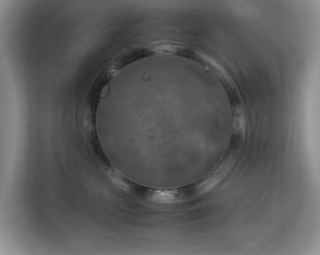 X0000112950573200908241345