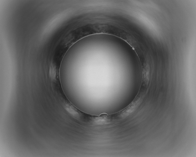 X0000112950574200908241345