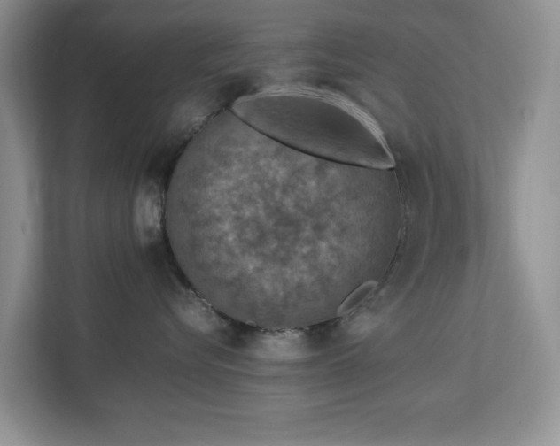 X0000112950576200908241345