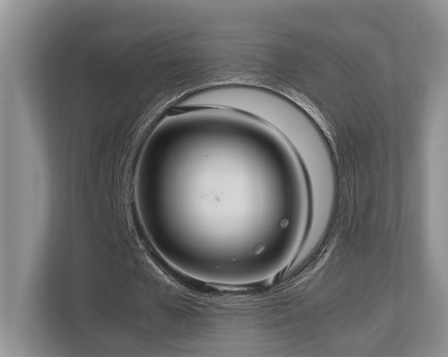 X0000112950577200908241344