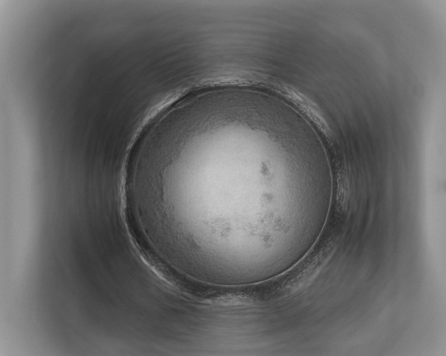 X0000112950578200908241344