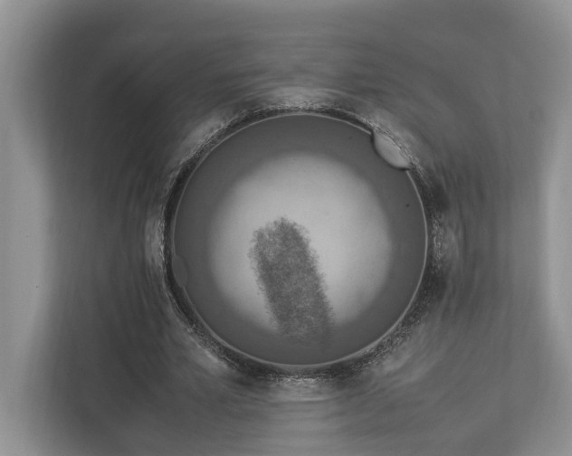 X0000112950581200908241344