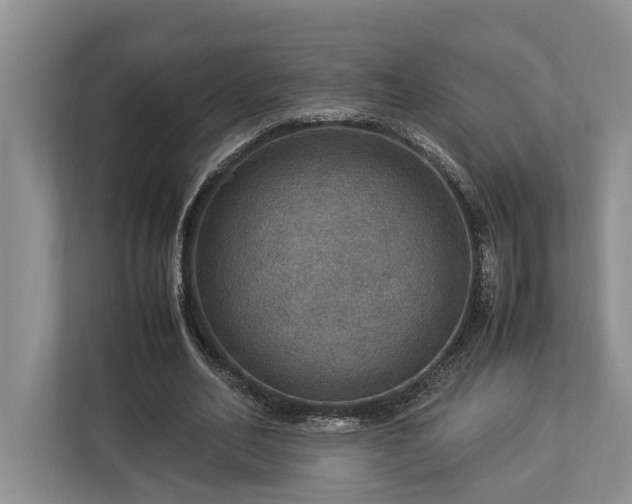 X0000112950582200908241344