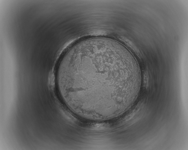 X0000112950584200908241344