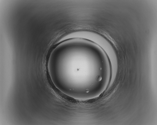 X0000112950585200908241344