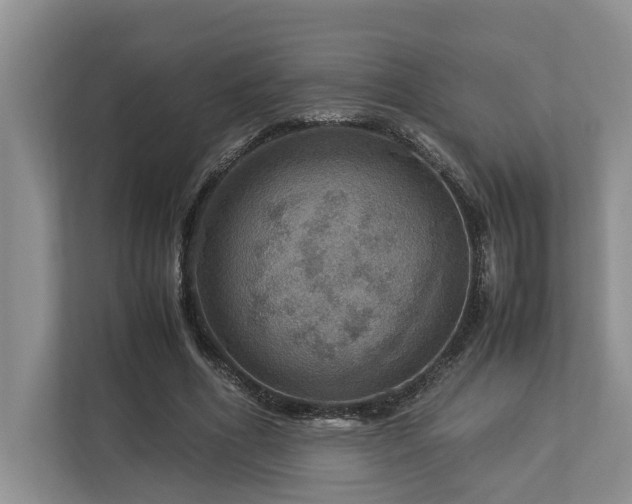 X0000112950586200908241344