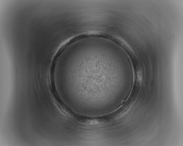 X0000112950588200908241344