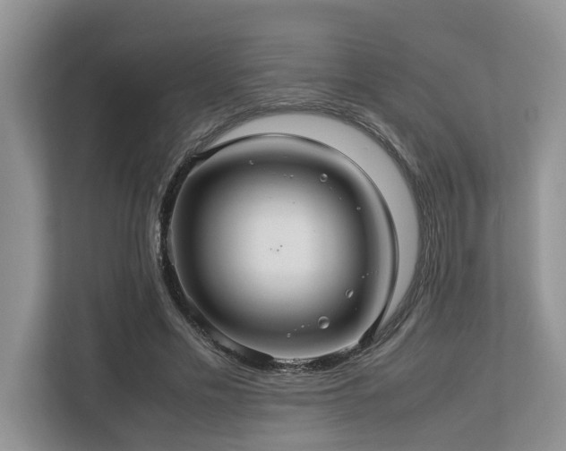 X0000112950589200908241344