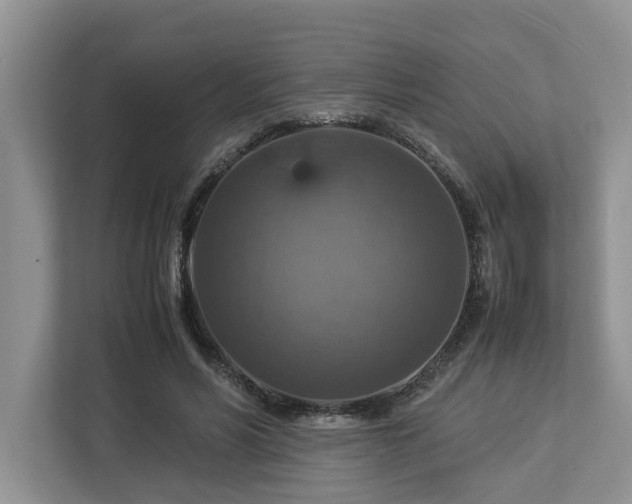 X0000112950590200908241344